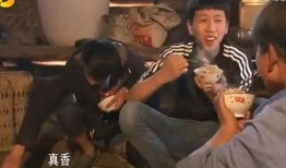 吃瓜黑料 搞潜规则,吃瓜黑料背后的真相揭秘