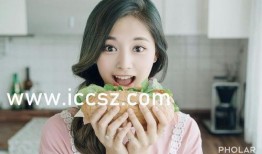 热点黑料免费,真相与偏见