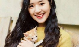 热点黑料免费 赵露思现状,从热点黑料到逆境重生