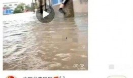 热点黑料视频 黑料不打料入口,黑料不打料入口背后的真相