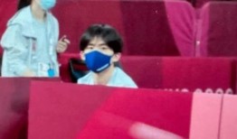 哪些娱乐新闻最受欢迎 体育圈饭圈化,最受欢迎的体育圈饭圈化现象